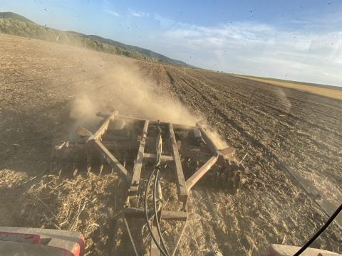 IH X 4,2 m tárcsa eladó IH X 4,2 m tárcsa eladó
