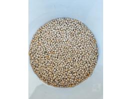 Takarmányborsó eladó Orchestra fajta