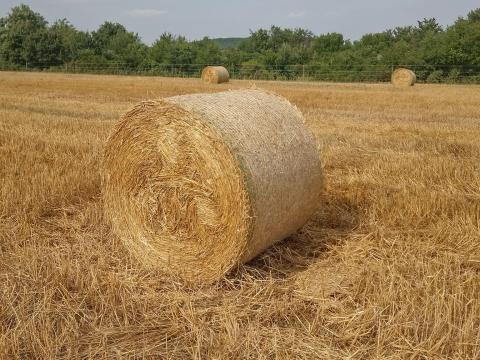 Szalma bála eladó Szalma bála eladó