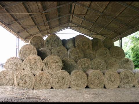 160-as széna bála eladó 160-as széna bála eladó