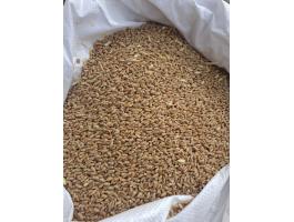 Búza nagyobb tételben