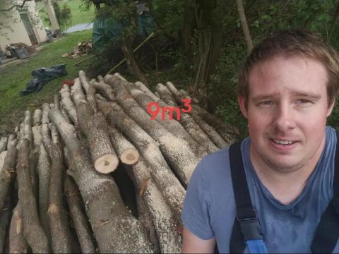 Sokoldalú alkalmi munka vállalása (kertrendezés, felújítás, fakitermelés)