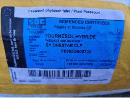 Onestar napraforgó vetőmag