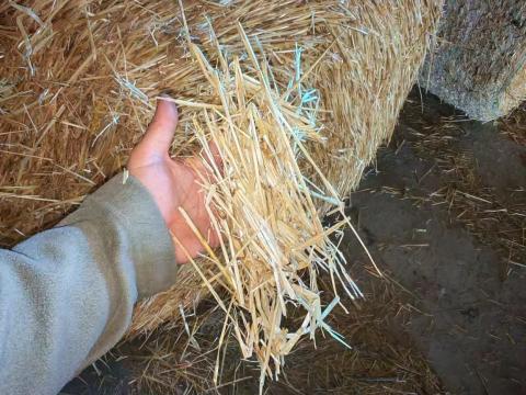 Szalmabála eladó Újirázon