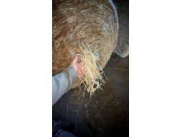 Szalmabála eladó Újirázon