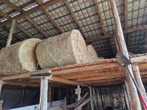 Eladó lucerna bála