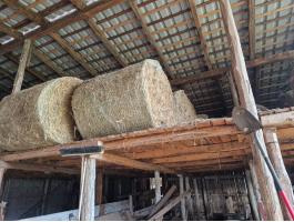 Eladó lucerna bála