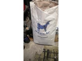 Kimaradt Maxilac Borjú tejpor eladó