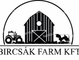 Állatgondozó munkatársat keresünk tehenészetbe