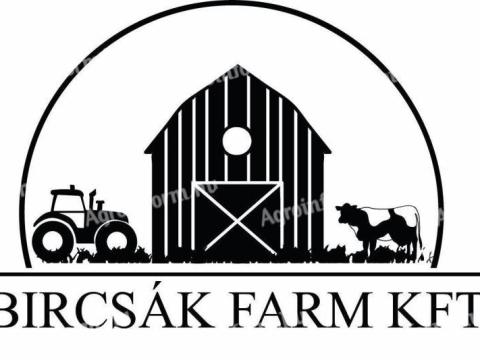 Állatgondozó munkatársat keresünk tehenészetbe