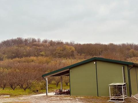 Nagyvejke – 5 hektáros, körbekerített barackos eladó