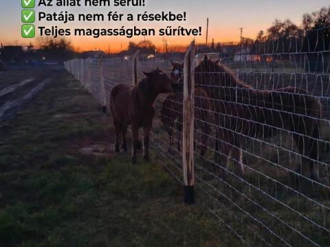 Trapéz drótháló, vadháló – állat- és pata-barát megoldás csak nálunk Trapéz drótháló, vadháló – állat- és pata-barát megoldás csak nálunk