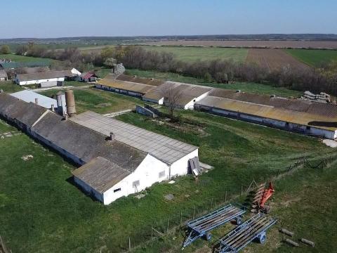 Eladó 2200 férőhelyes sertéstelep Mihályiban, Győr-Moson-Sopron megyében Eladó 2200 férőhelyes sertéstelep Mihályiban, Győr-Moson-Sopron megyében