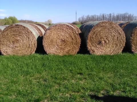 Eladó körbálás szalma