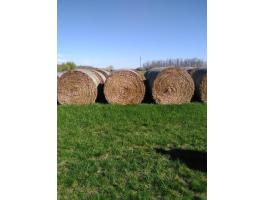Eladó körbálás szalma