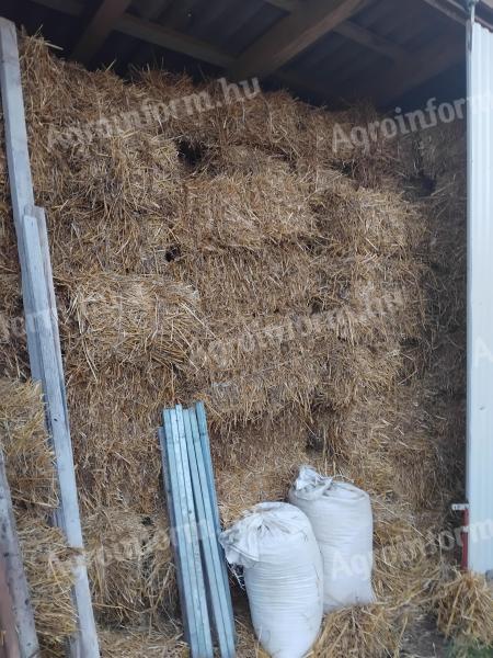 Kis kockabála búzaszalma eladó