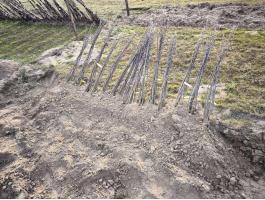 Idared suháng mm111 vírusmentes