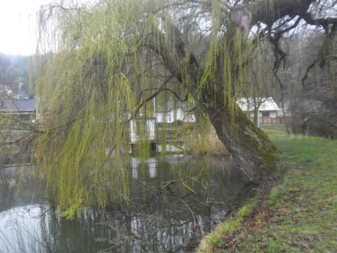 Természetközeli Életérzés és Horgászparadicsom Természetközeli Életérzés és Horgászparadicsom