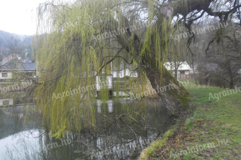 Természetközeli Életérzés és Horgászparadicsom