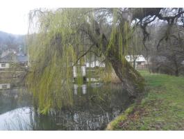 Természetközeli Életérzés és Horgászparadicsom