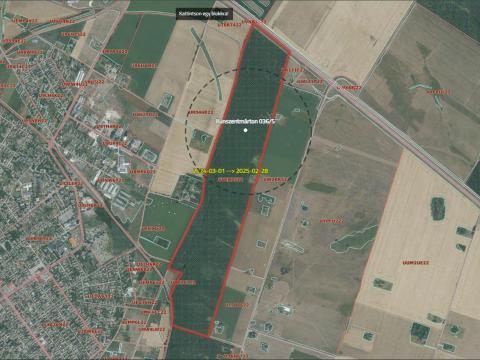 7,1 ha tölgy erdő eladó