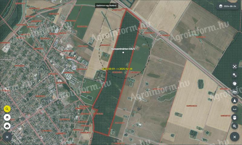 7,1 ha tölgy erdő eladó