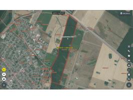 7,1 ha tölgy erdő eladó