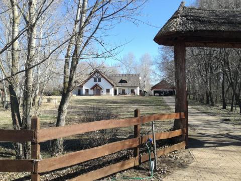 Juhok mellé állatgondozót keresek Juhok mellé állatgondozót keresek