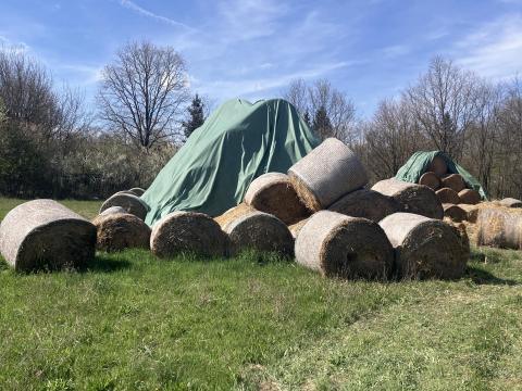 Szalma bála eladó Szalma bála eladó