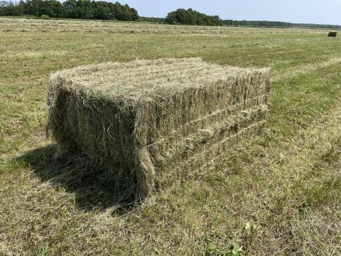 Fűszéna nagykocka bála Fűszéna nagykocka bála
