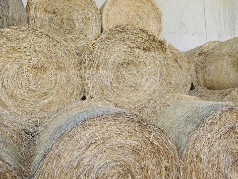 Szalmabálák eladók Szalmabálák eladók