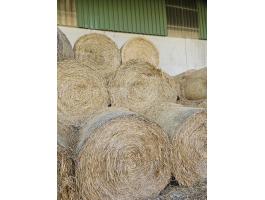 Szalmabálák eladók