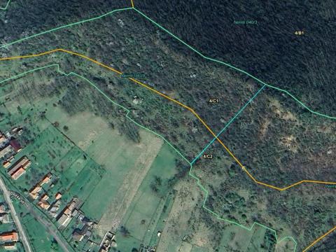 3,2 hektár, 1/1 tulajdonú akácerdő eladó Nemtiben, 300 000 Ft/ha