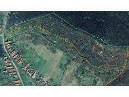 3,2 hektár, 1/1 tulajdonú akácerdő eladó Nemtiben, 300 000 Ft/ha