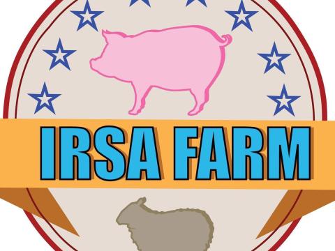 Álláslehetőség Irsapusztán