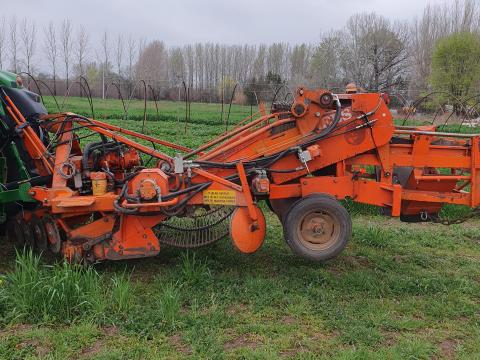 Nobels ágyás szedő