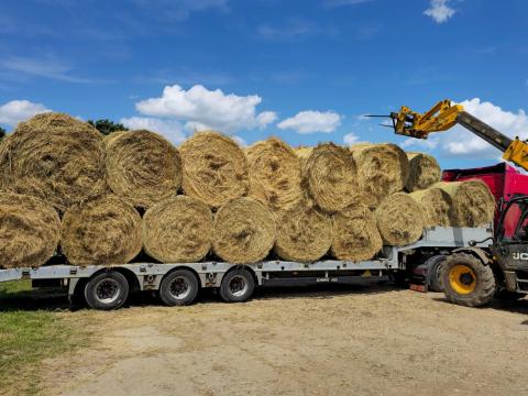 Szalma/széna/lucerna/csomagolt bála szállítás Szalma/széna/lucerna/csomagolt bála szállítás