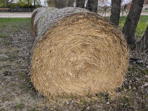 Gurigás szalmabála eladó