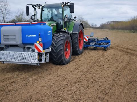 Kukorica,  Napraforgó vetés