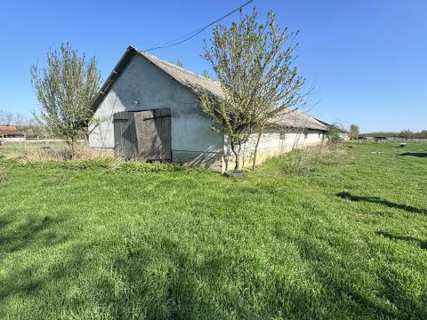 Szeghalom, Érmellék utca végén, kis erdő és Berettyó-gát között