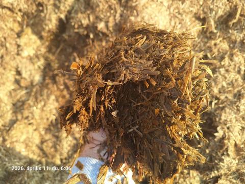 Rozs szilázs Rozs szilázs