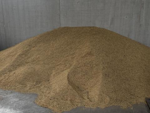 Eladó zab Eladó zab