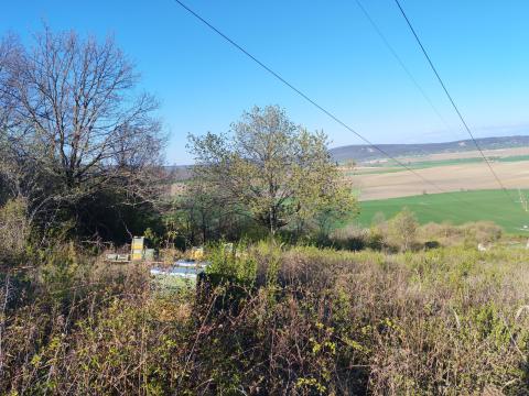 Zártkert Tarján Feketekő dűlőben Zártkert Tarján Feketekő dűlőben