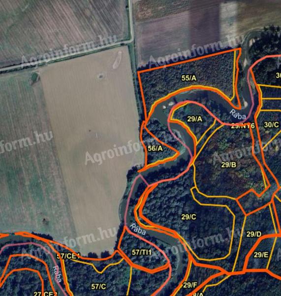 Rába parti erdő Cákánydoroszló 56A