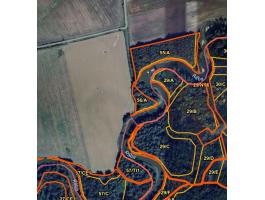 Rába parti erdő Cákánydoroszló 56A