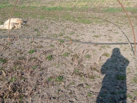 Fólia borda eladó Fólia borda eladó