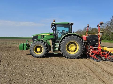 Bérvetés Baranya megyében, precíziós vetőgéppel