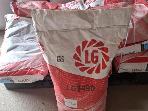 LG 3490 kukorica vetőmag
