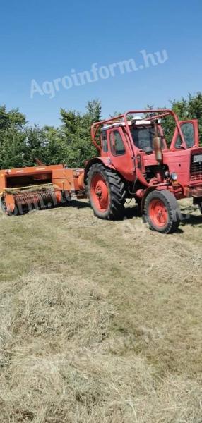 Sipma kiskocka balazo