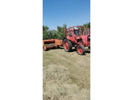 Sipma kiskocka balazo